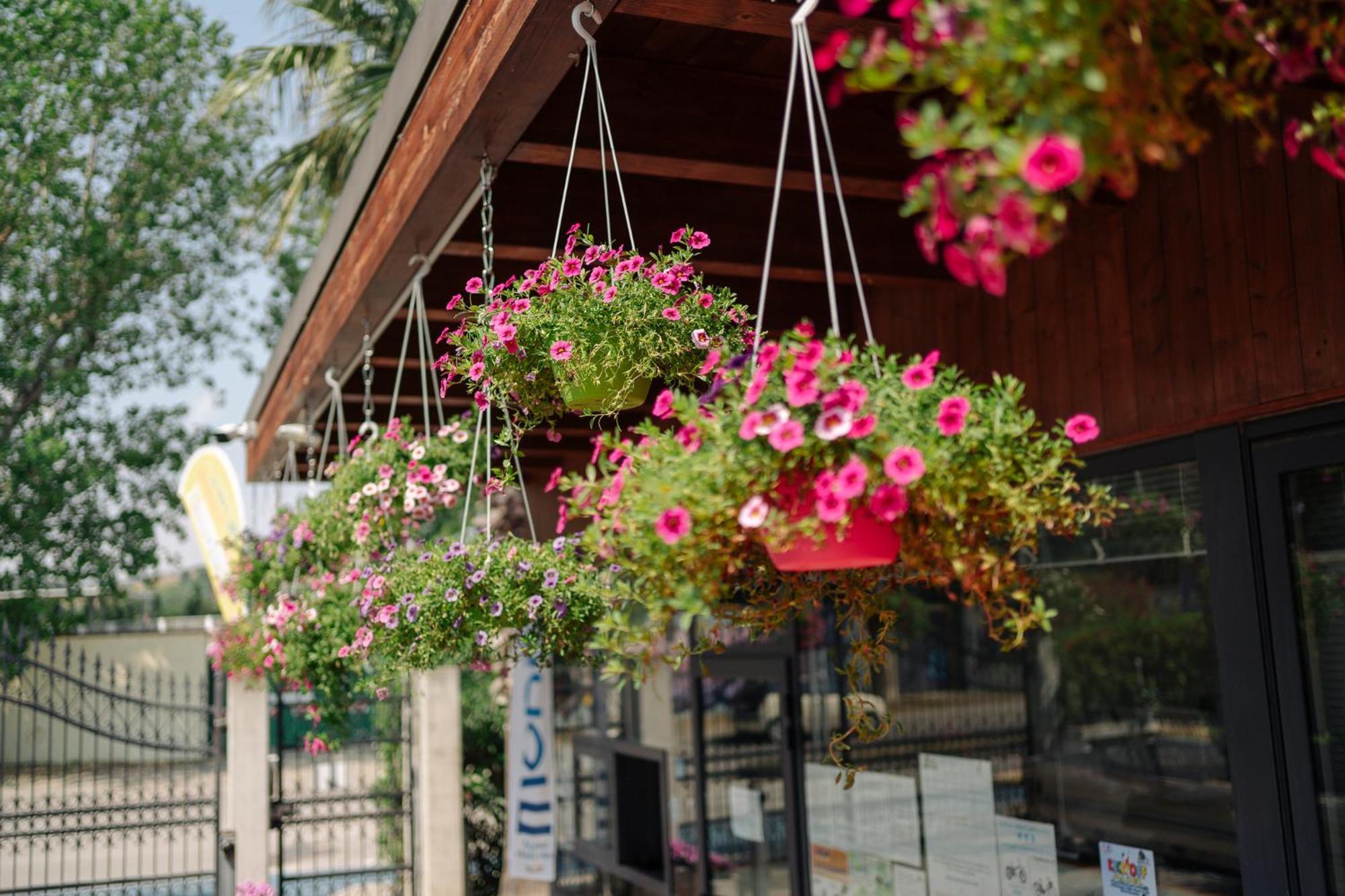 Village Lake Placid Silvi Marina Luaran gambar